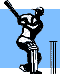 Playing Cricket