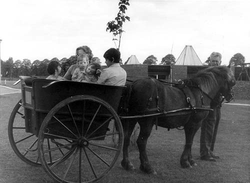 Govenor Cart Photo